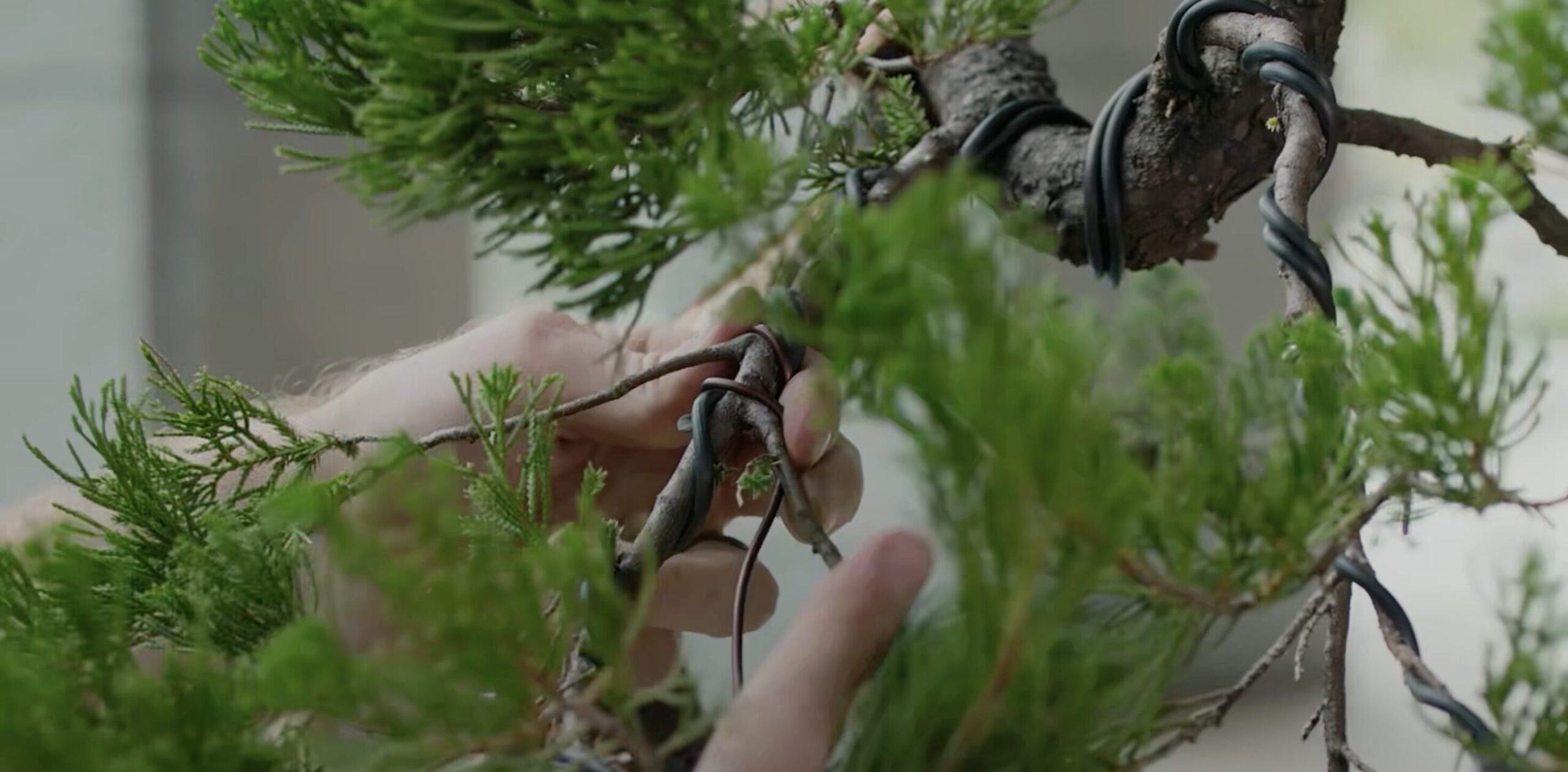 screenshot-2025-09-04-at-08-50-46