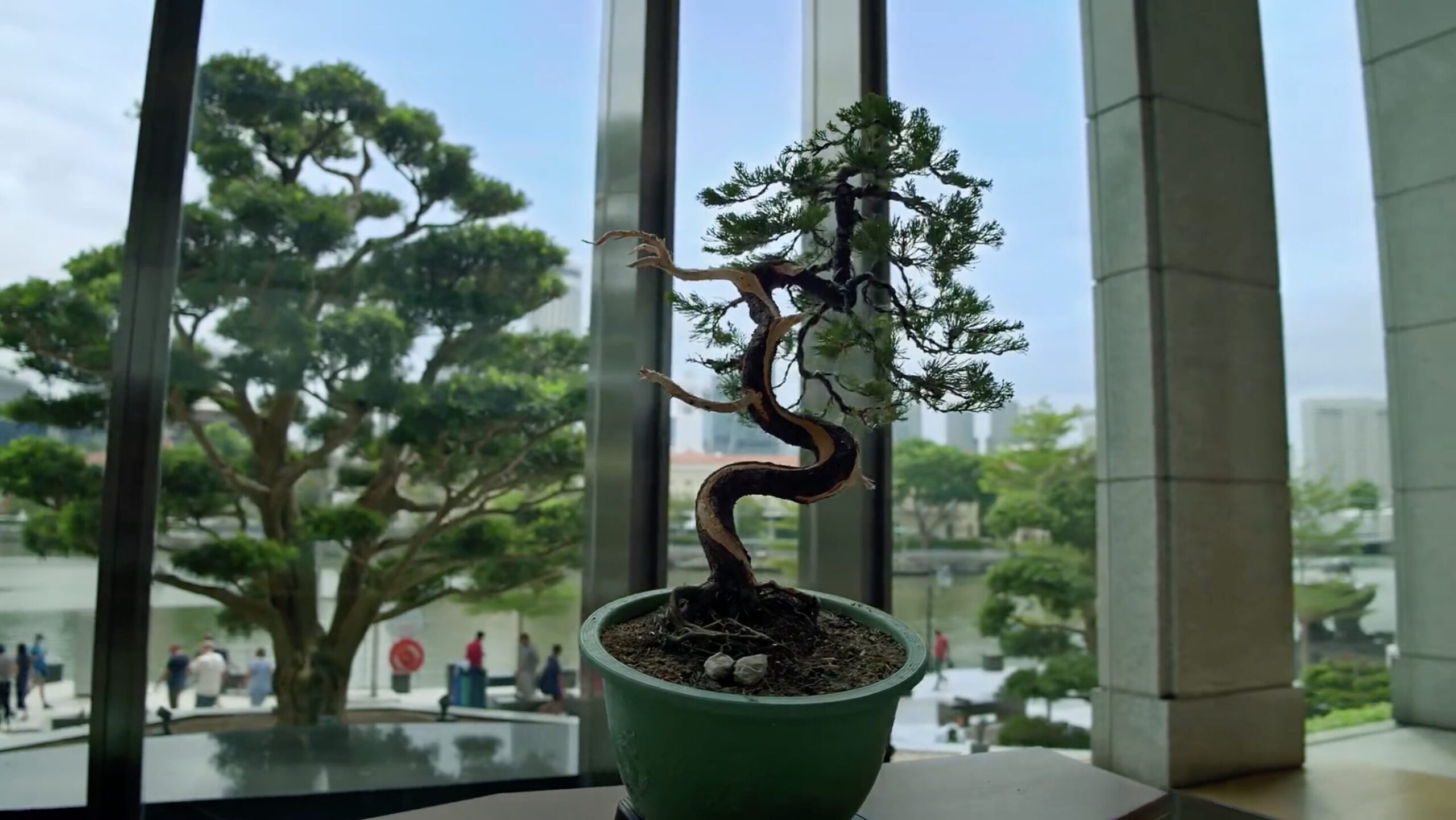 screenshot-2025-09-04-at-12-51-58